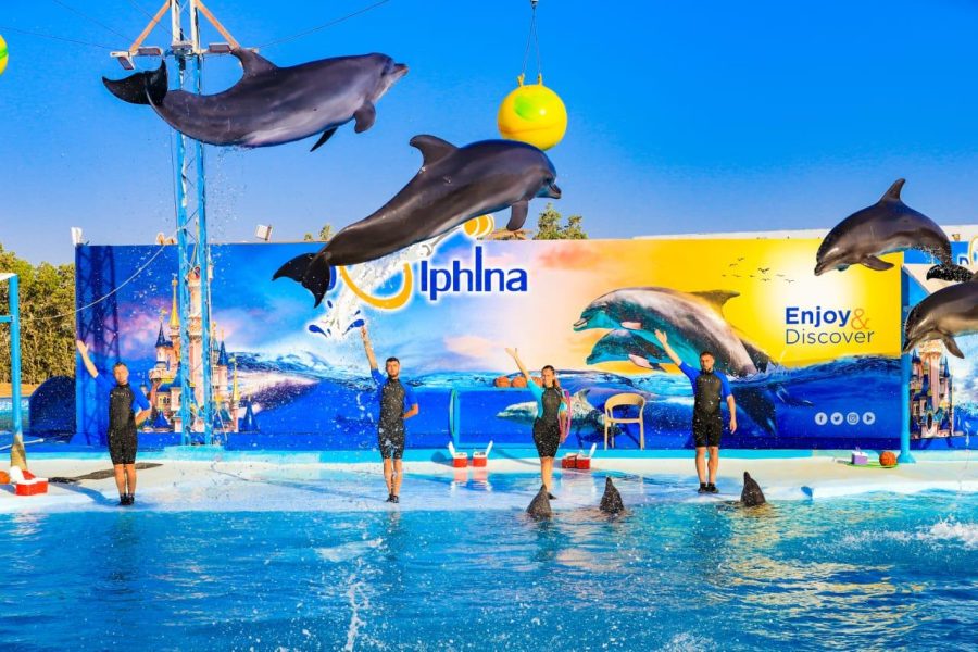 Dolphina Park