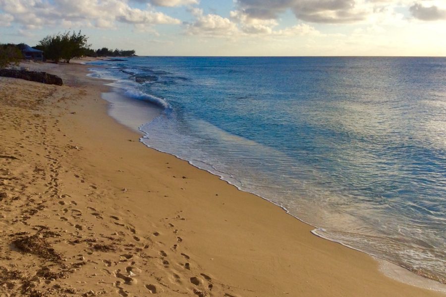 Osprey-beach day use