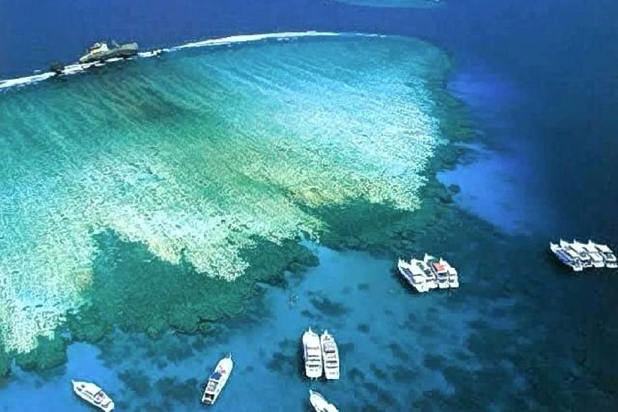 Tiran Island By Boat